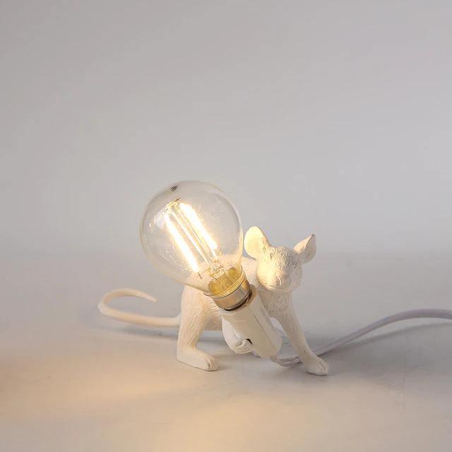 Energiebesparende Verlichting voor Comfortabele Huisdierenomgeving 9
