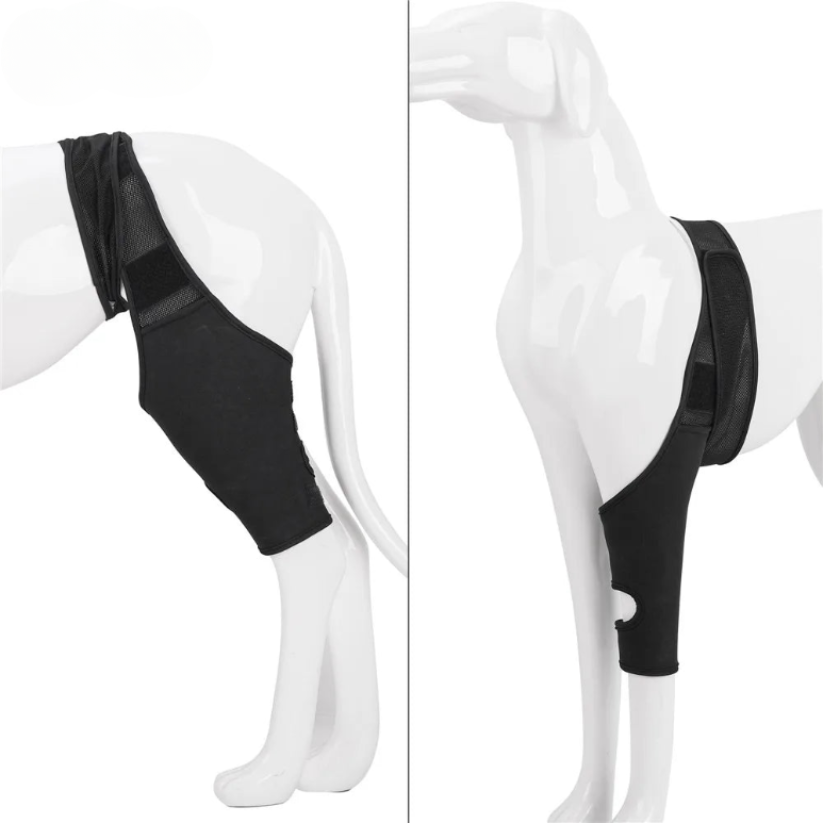 Ondersteunende Kniebrace voor Honden – Comfort en Stabiliteit