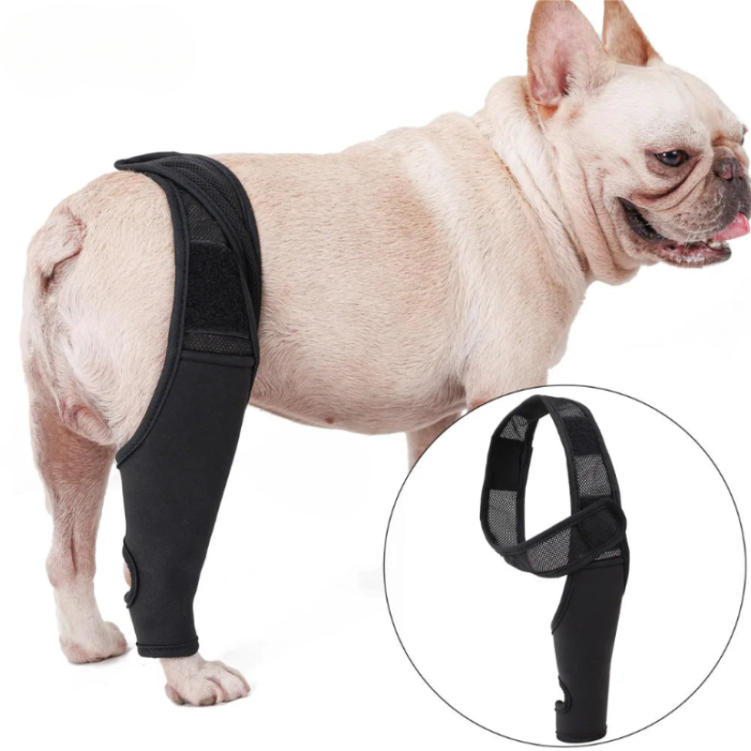 Ondersteunende Kniebrace voor Honden – Comfort en Stabiliteit