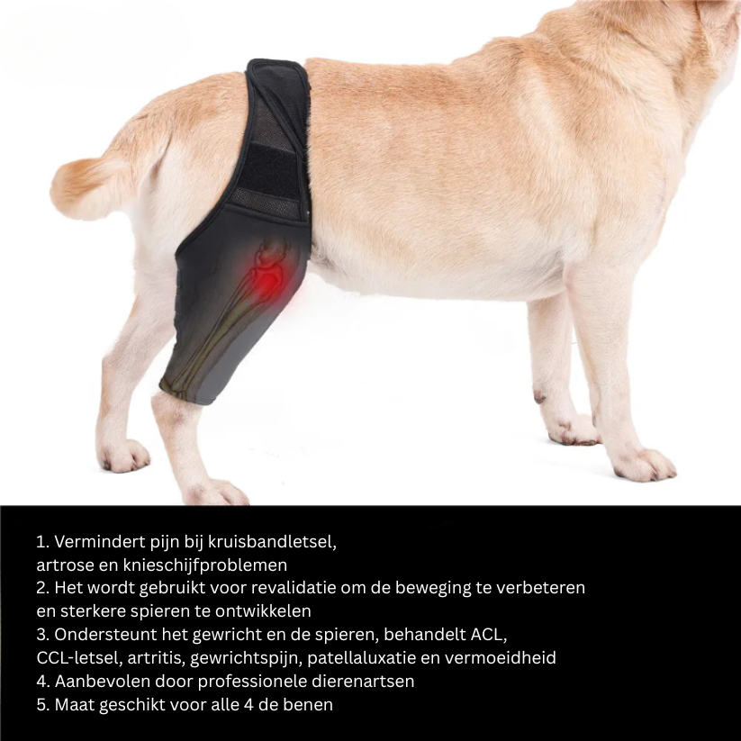 Ondersteunende Kniebrace voor Honden – Comfort en Stabiliteit