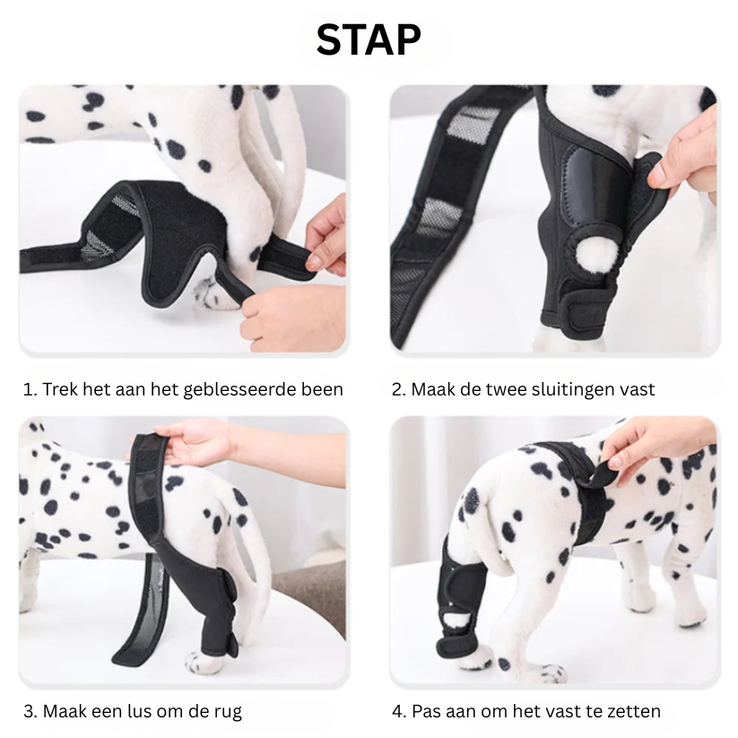 Ondersteunende Kniebrace voor Honden – Comfort en Stabiliteit