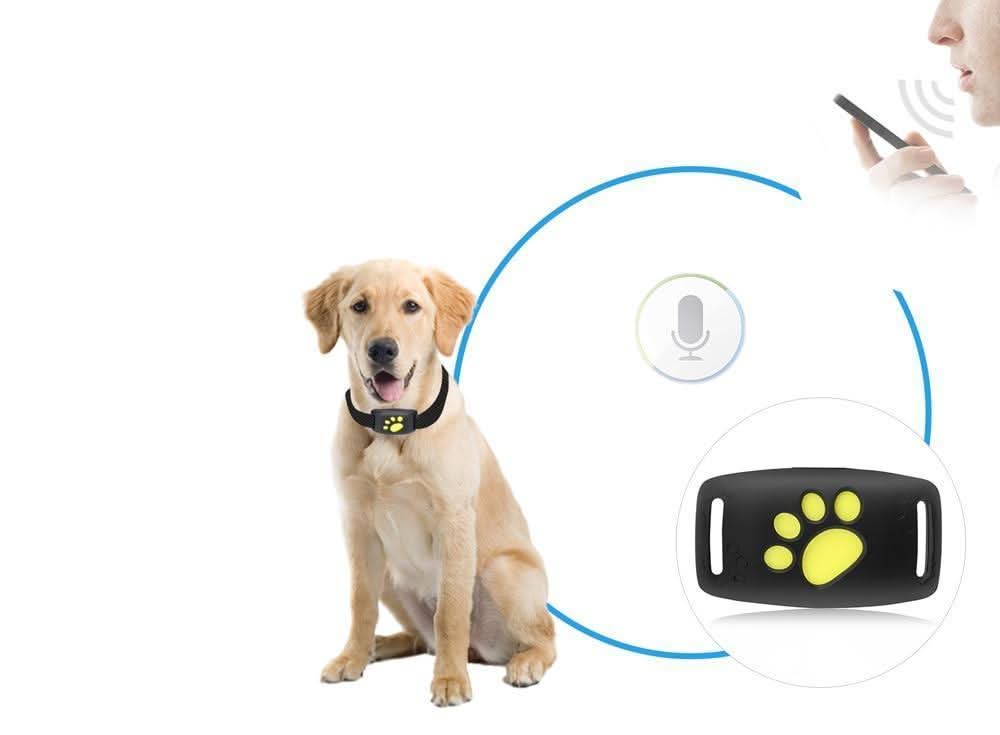 Realtime GPS Tracker Kat Zonder Abonnement voor Veiligheid en Gemoedsrust 3