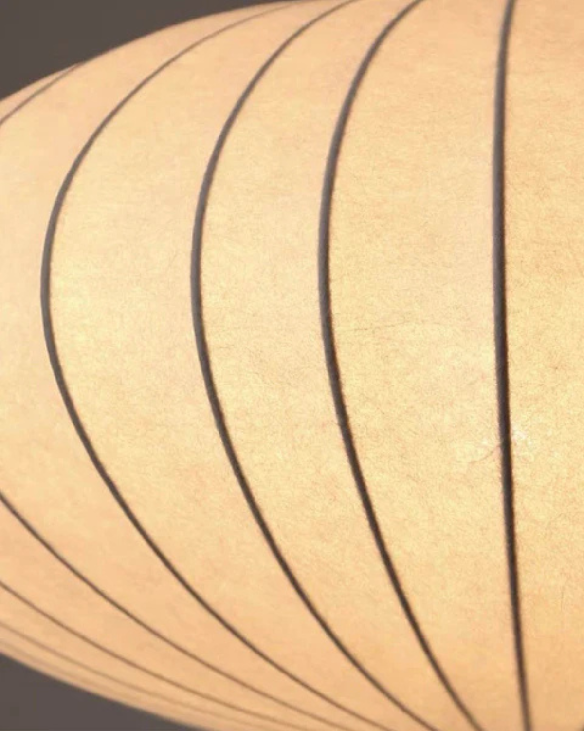 Warme Hanglamp voor Eetkamer en Woonkamer - Zwart Modern Design 7