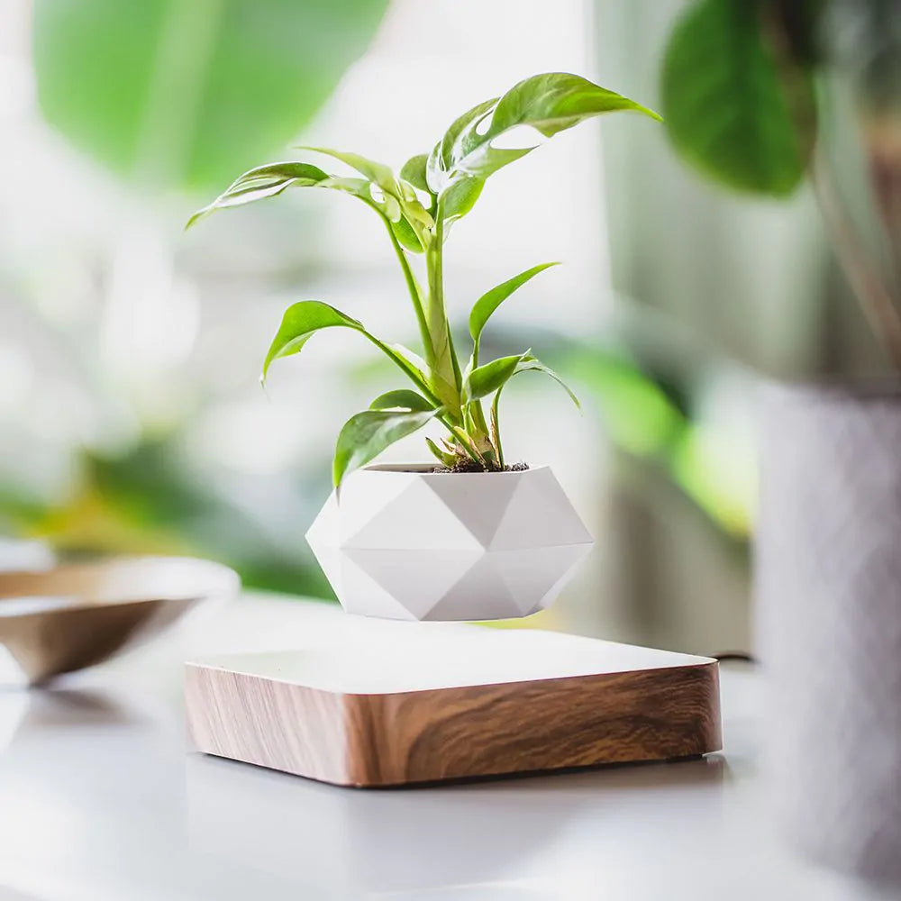Zwevende Plantenpot voor Unieke Interieurdecoratie en Rustgevende Beweging 0