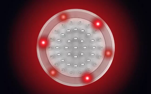 EMS Hoofdmassageborstel – Microcurrent & Vibratie voor Haarverzorging