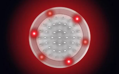 EMS Hoofdmassageborstel – Microcurrent & Vibratie voor Haarverzorging