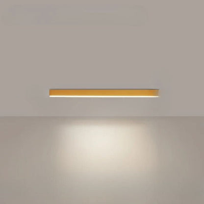 Energiezuinige LED Plafondlamp voor Stijlvolle Verlichting 12