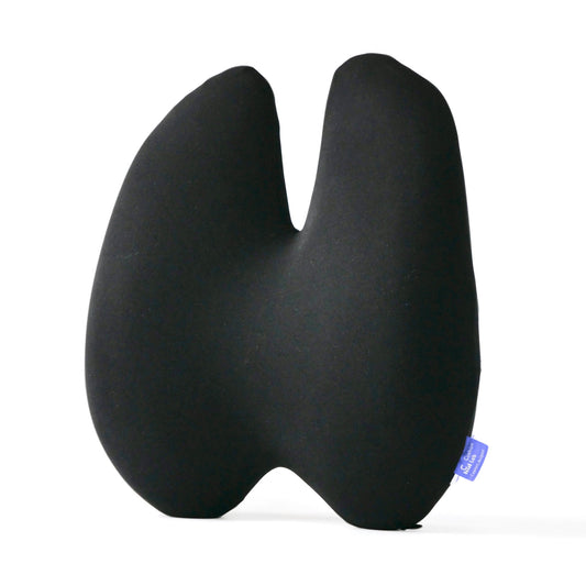 Ergonomisch Lumbale Kussen voor Comfort en Ondersteuning
