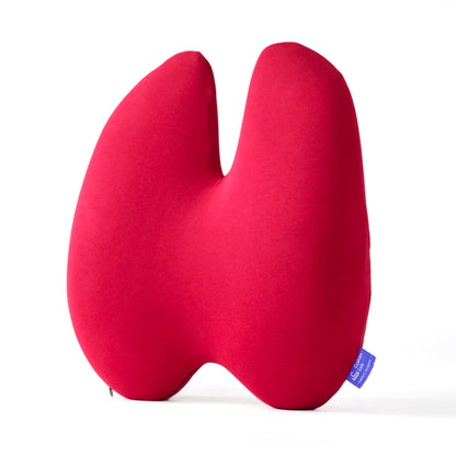 Ergonomisch Lumbale Kussen voor Comfort en Ondersteuning