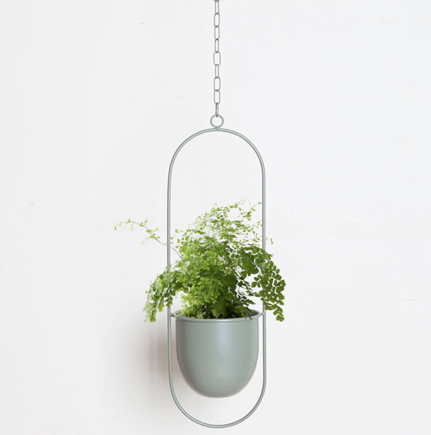 Minimalistisch Plantenhanger voor Elegante Interieurvernieuwing 4