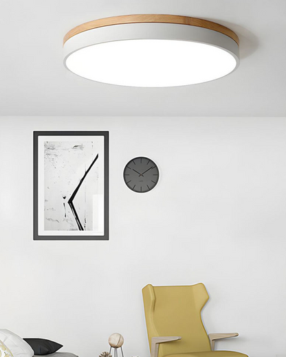 Moderne Plafondlamp voor Warme Sfeer met Natuurlijke Accenten 3