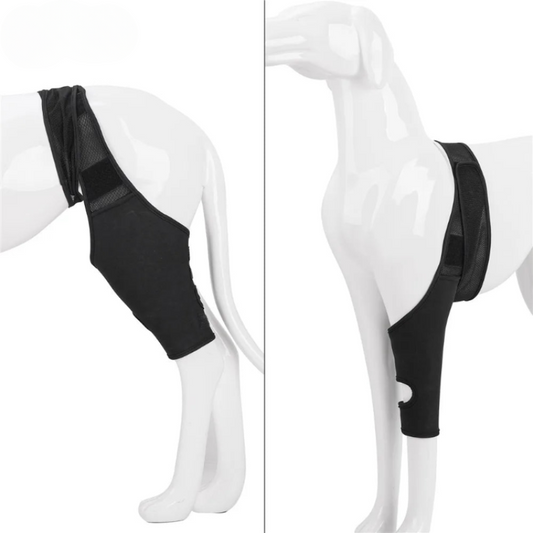 Ondersteunende Kniebrace voor Honden – Comfort en Stabiliteit