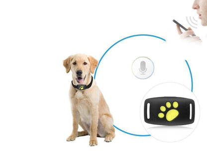 Realtime GPS Tracker Kat Zonder Abonnement voor Veiligheid en Gemoedsrust 3