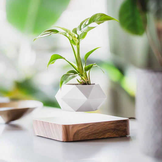 Zwevende Plantenpot voor Unieke Interieurdecoratie en Rustgevende Beweging 0